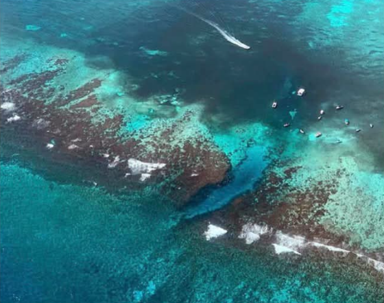 Aerial view of the Belize Barrier Reef with boats moored along the channel