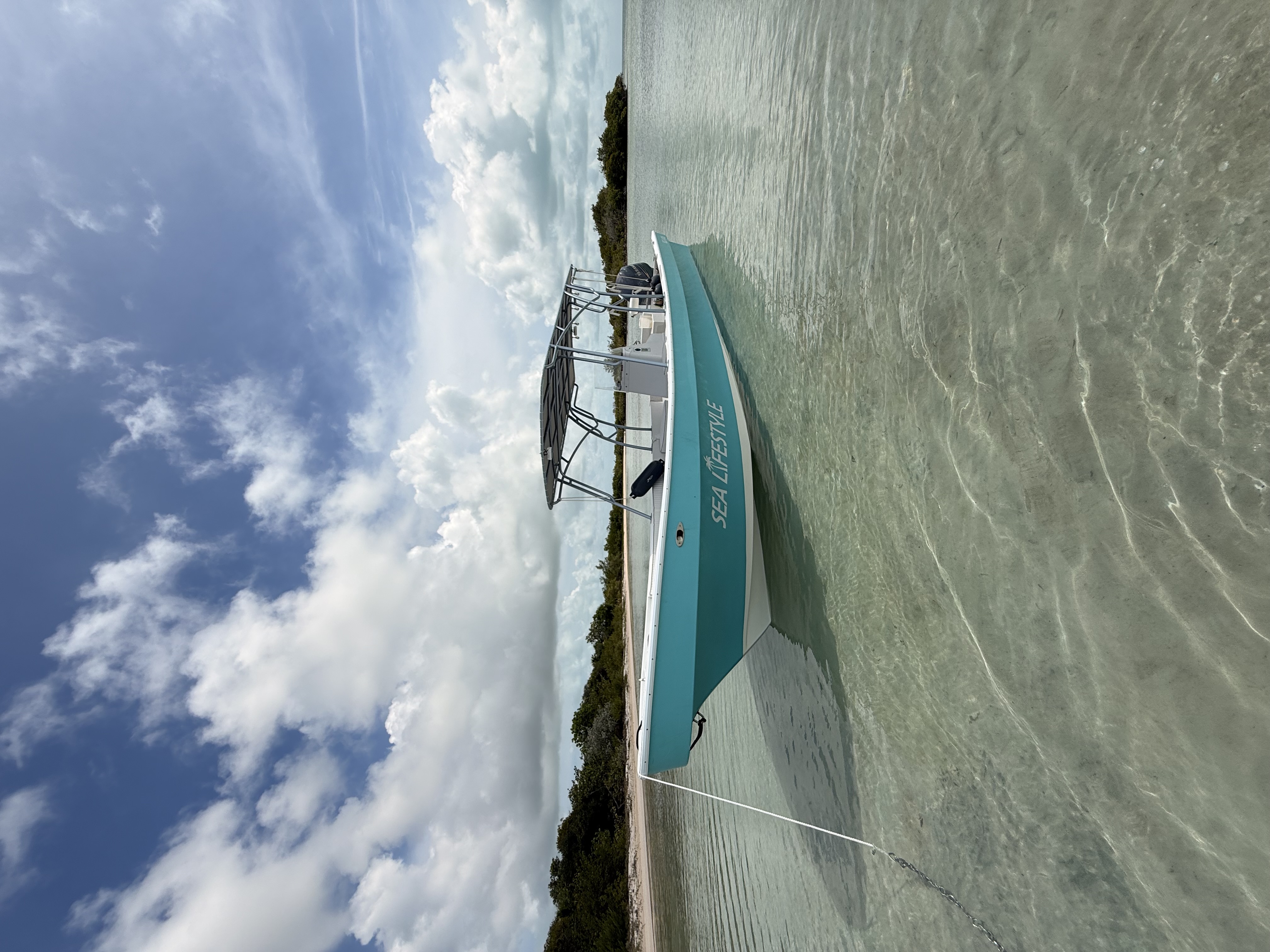 Sea Lifestyle boat floating over clear flats near a mangrove caye