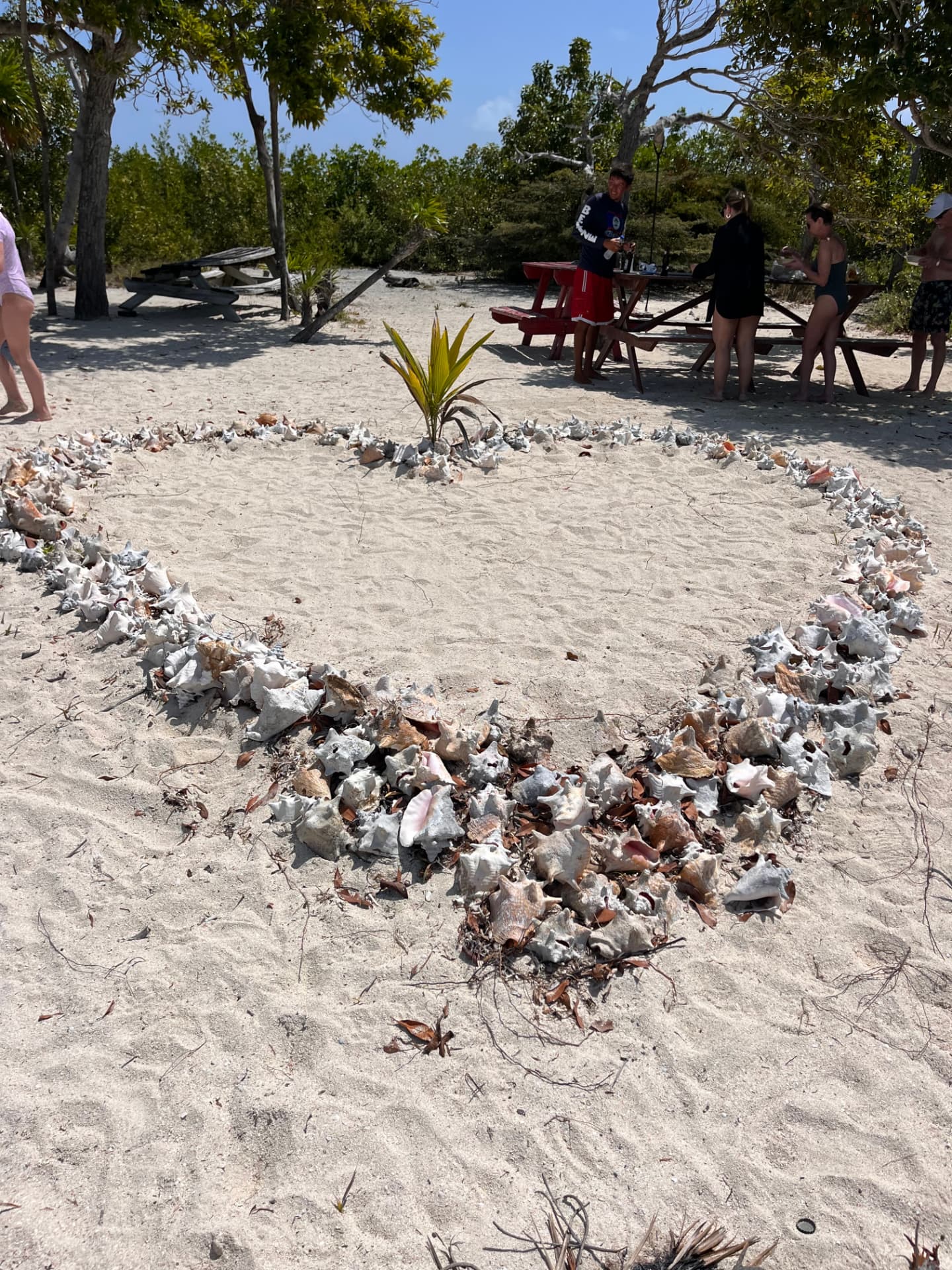 Conch shell circle on the sand with guests enjoying a beach lunch behind it