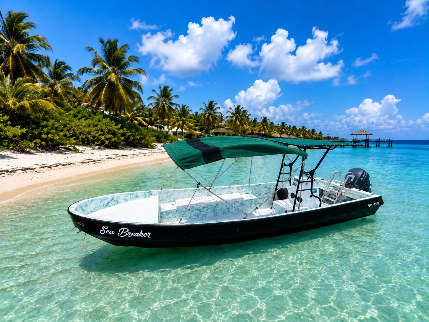 Sea Breaker tour boat anchored beside a tropical Belize beach