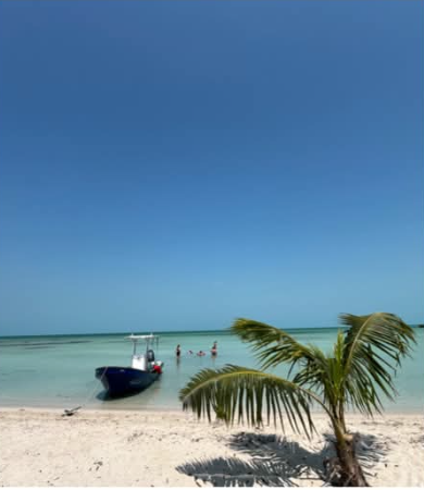 Tour boat anchored off a white sand beach with guests swimming nearby