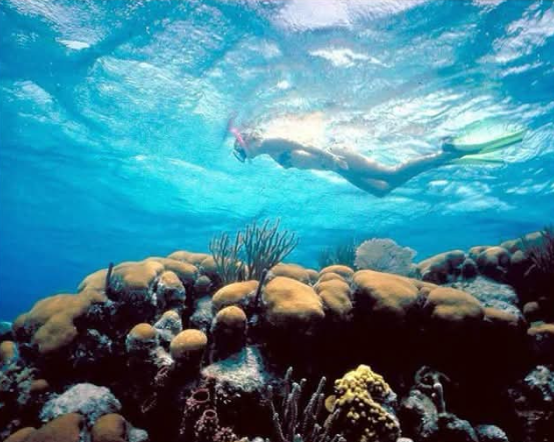 Full-Day Snorkeling in Belize — 4 Snorkeling Stops • Beach BBQ • Beach Time