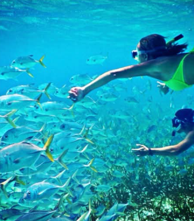 Snorkeling in Belize