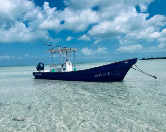 The blue tour boat anchored in crystal clear shallow flats