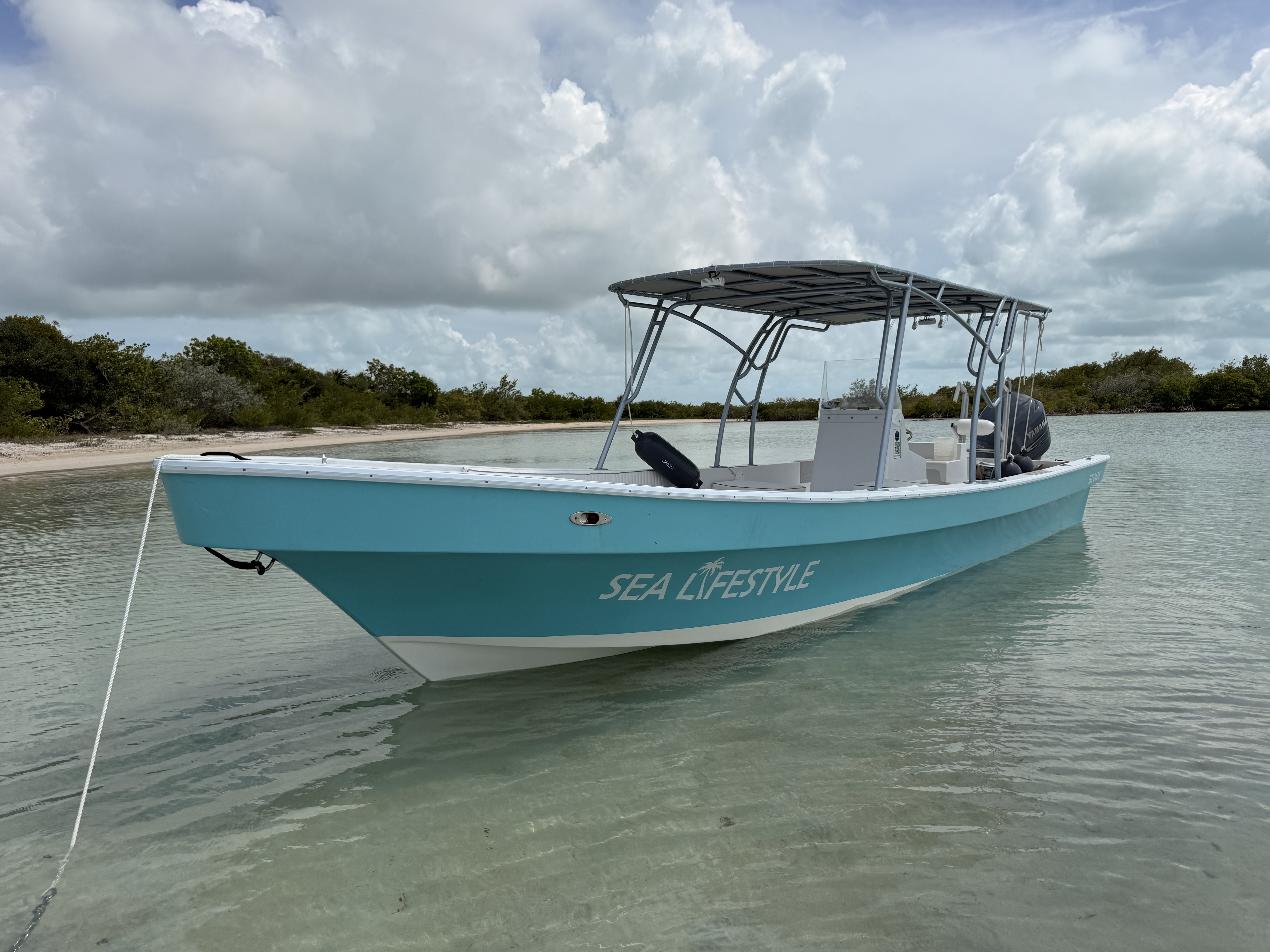 Tour boat anchored off a quiet beach with a T-top shade canopy
