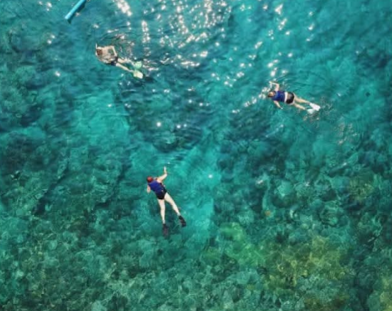 Half-Day Snorkeling in Belize — Mexico Rocks & Sting Ray City