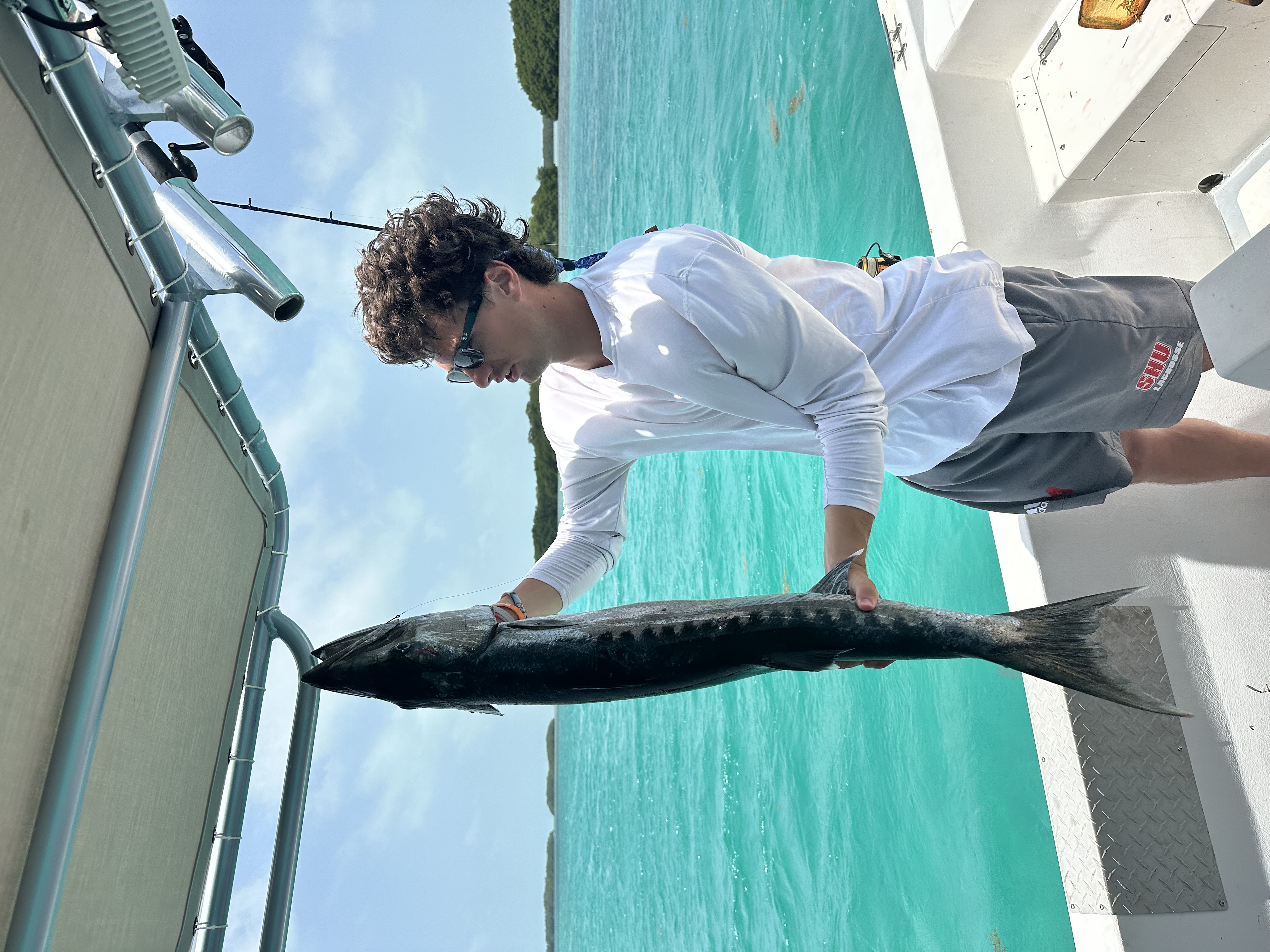 Angler lifting a long barracuda over the side of the boat