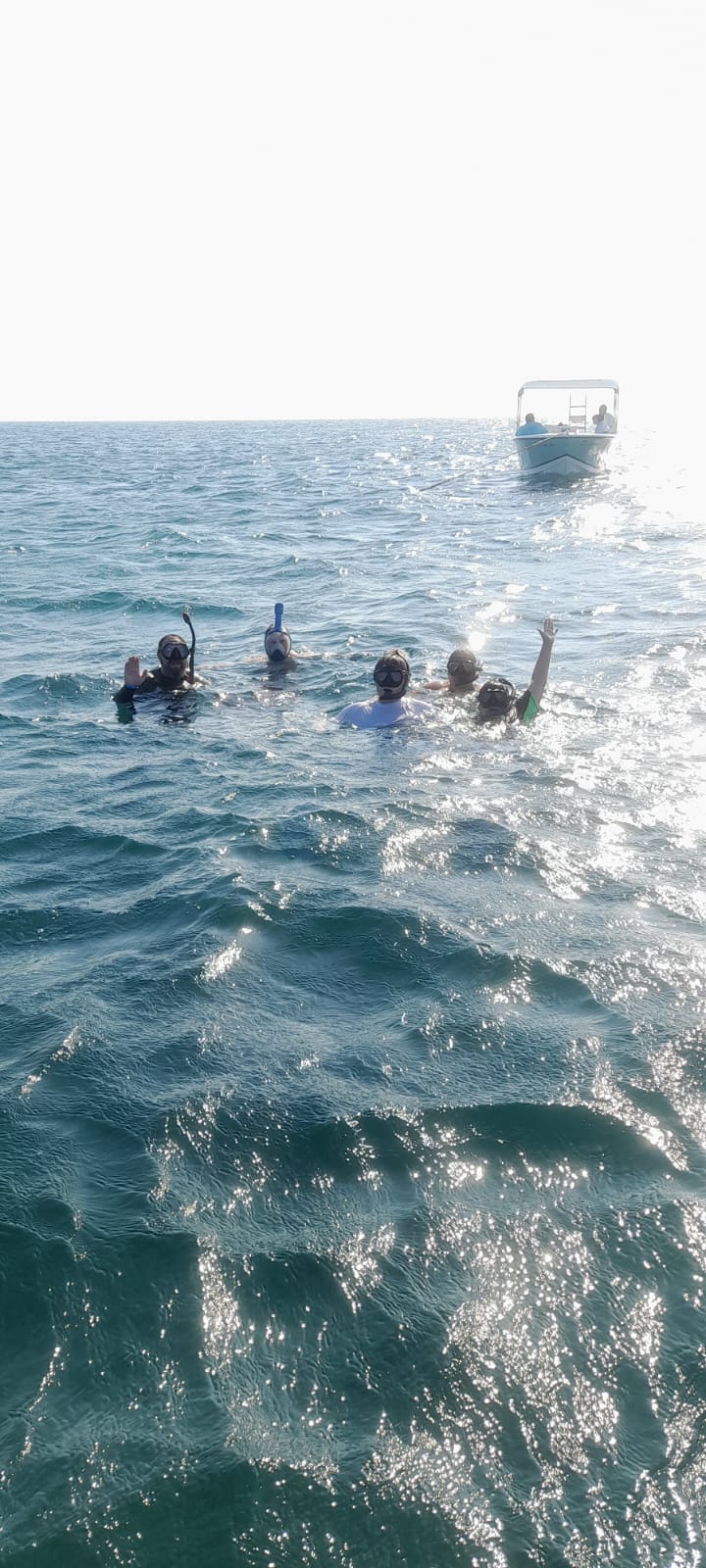 Group of snorkelers waving from the water beside the tour boat