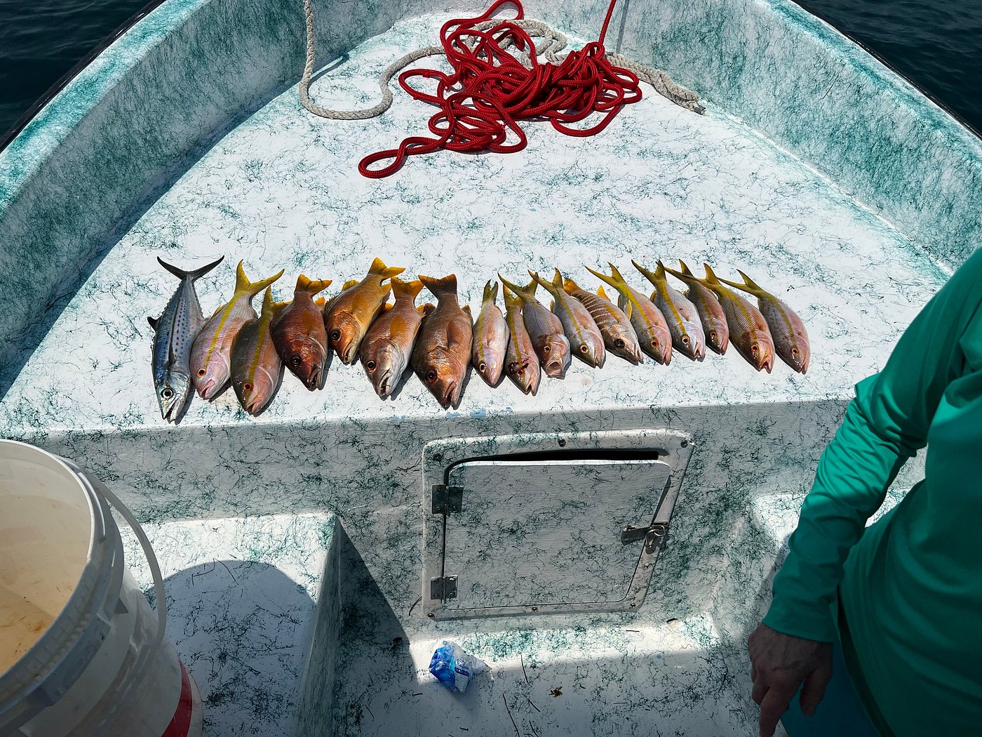 Half-Day Fishing in Belize — Reef Fishing & Mangrove Fishing